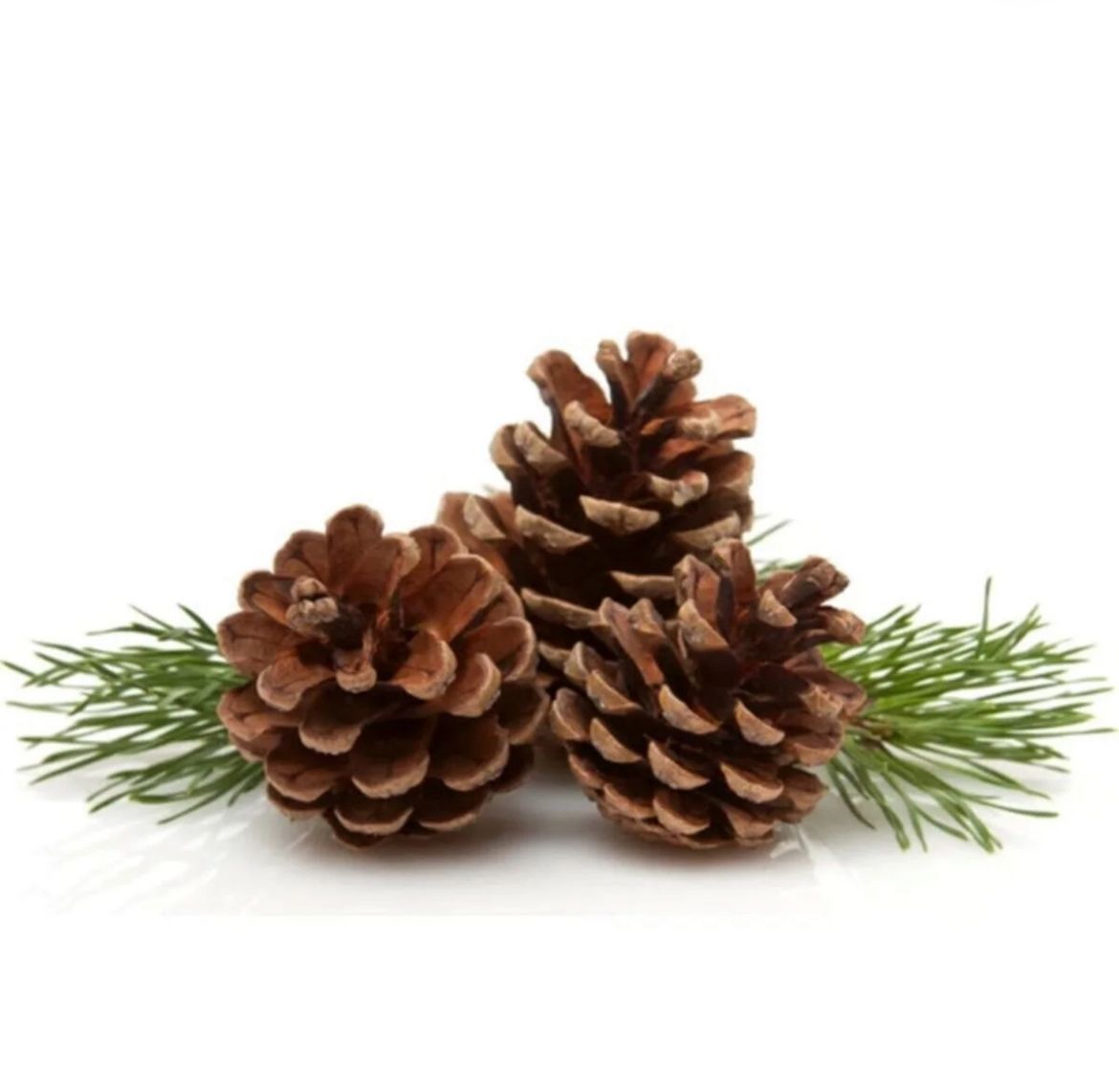 ae7039ec-3c1d-41fa-ae53-2f9716a52f18